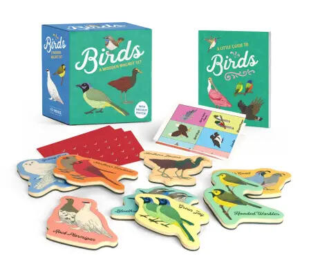 Assorted birds magnet set